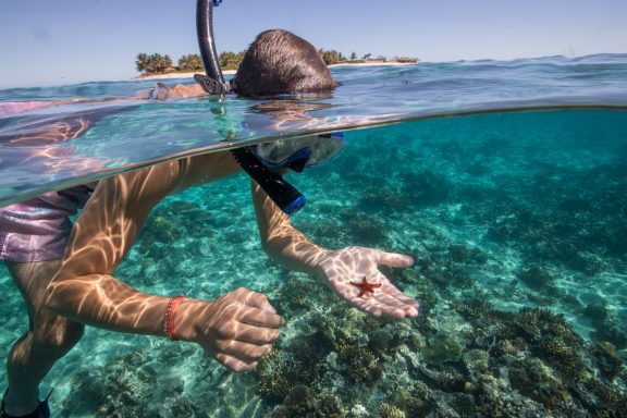 snokel namotu island reef