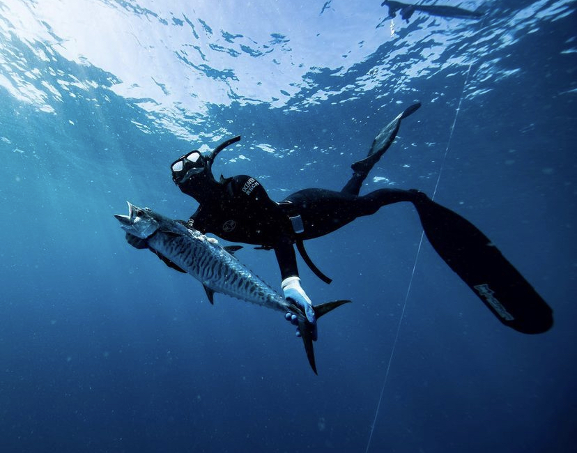Picture Gallery of Spear Fishing Luxury Trip in Fiji