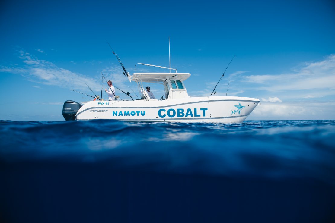 cobalt namotu charter luxury