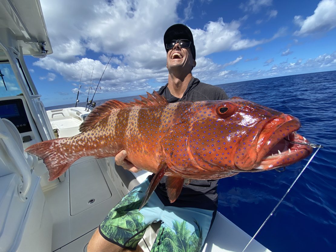 namotu coral trout fish fiji