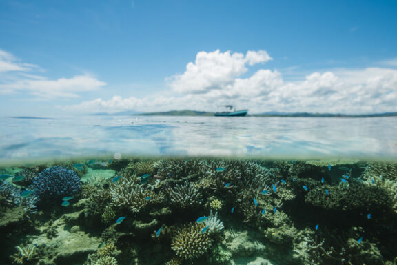 namotu coral reef sustainable eco surf resort