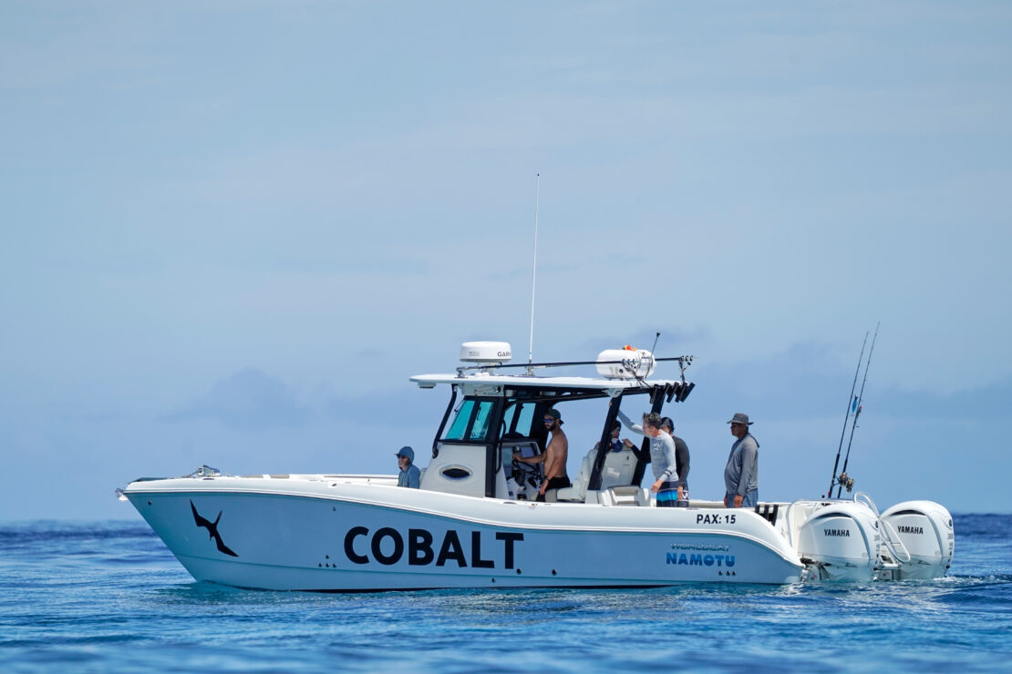 mitch johnson cobalt namotu fishing