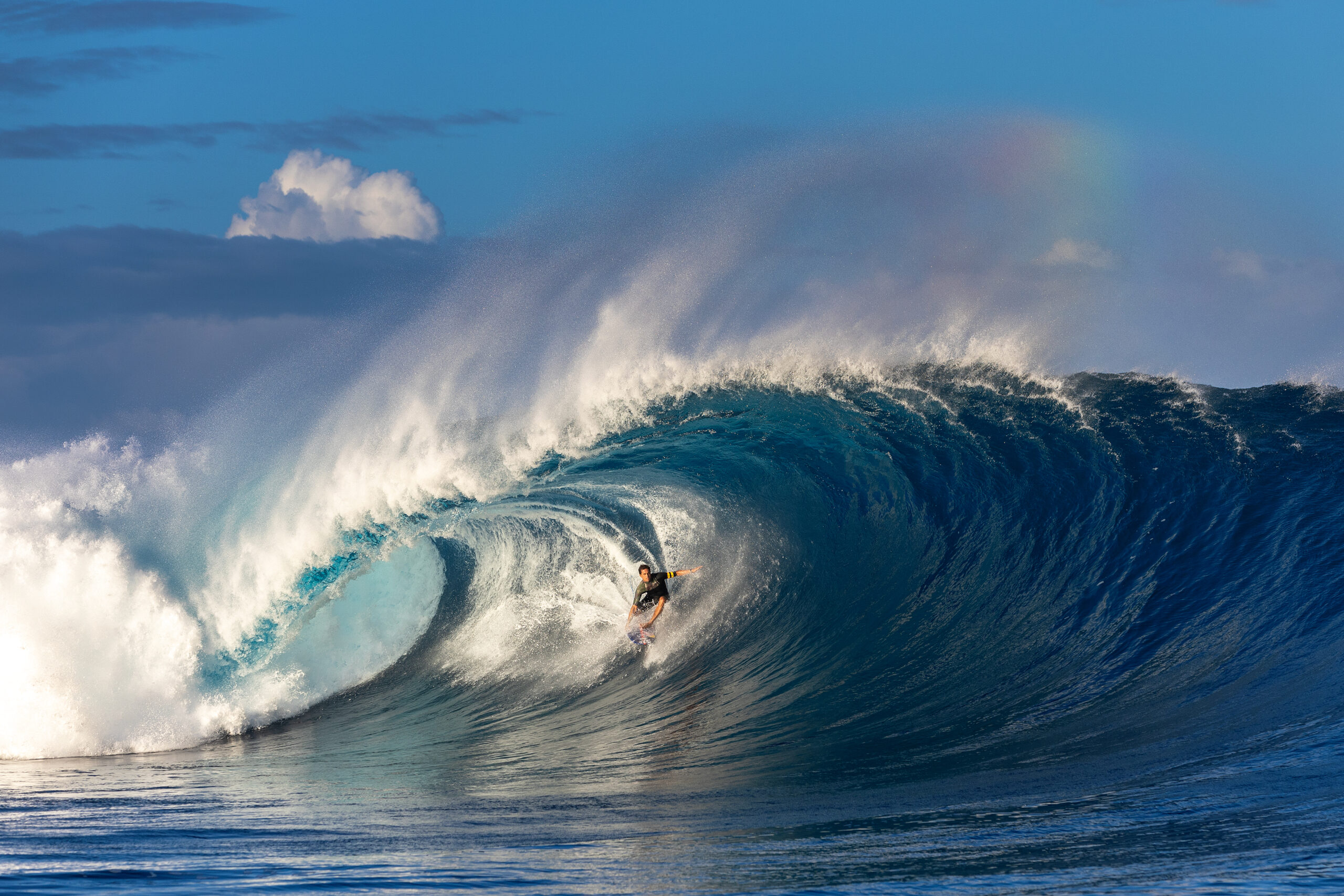 World Surf League replaces the ASP World Tour🐈 Aprendendo com os jogos educativos online
